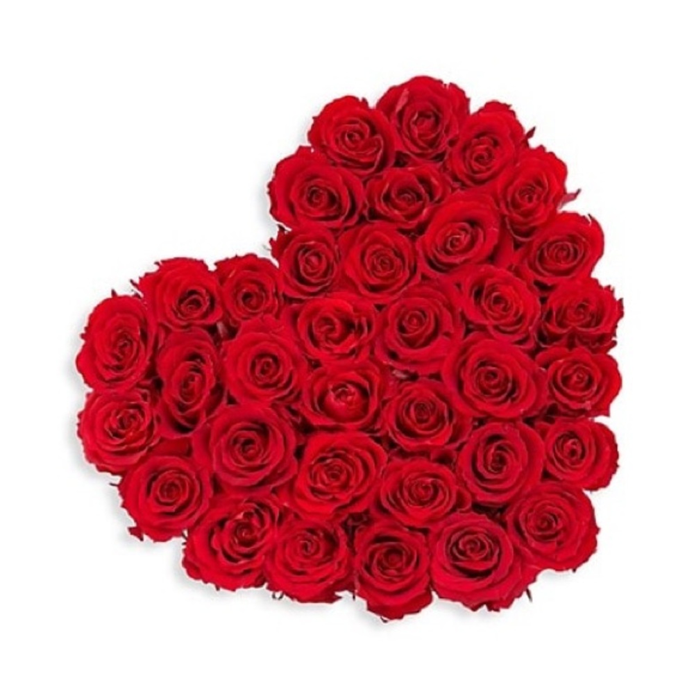 Meet your Posher, Davishing